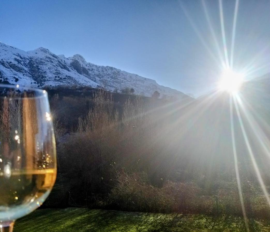 Apartamento Llar Del Cares Arenas De Cabrales Bagian luar foto